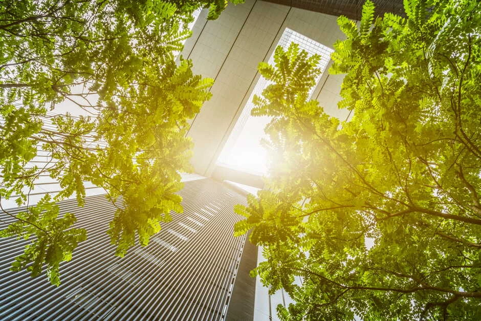 greener solution provider